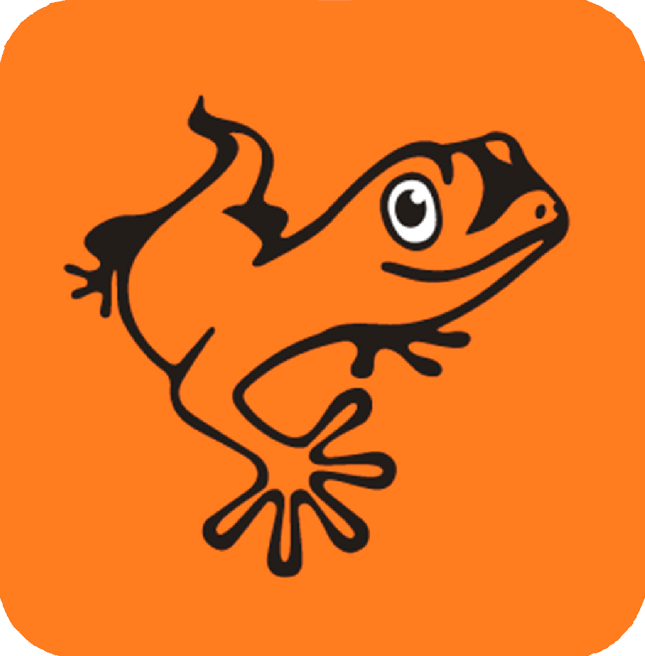 Orange Salamander